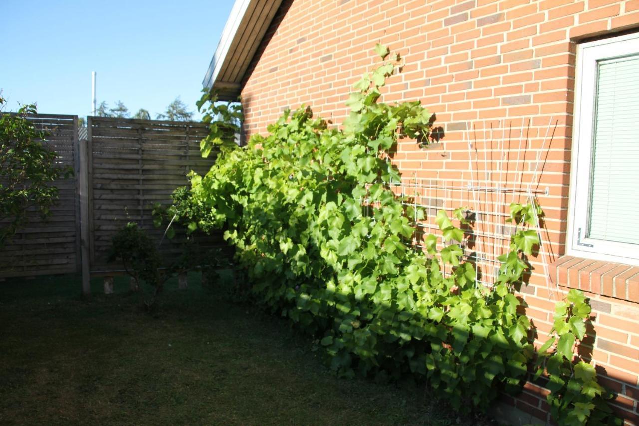 Hine Bakke Bed And Breakfast Rudkøbing Buitenkant foto